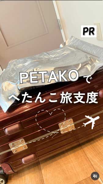 投稿動画